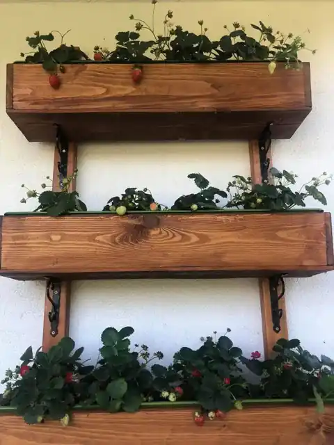 Stara Chata — praca Aliaksandra Kurbana