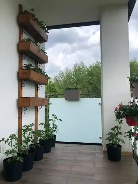 Stara Chata — praca Aliaksandra Kurbana